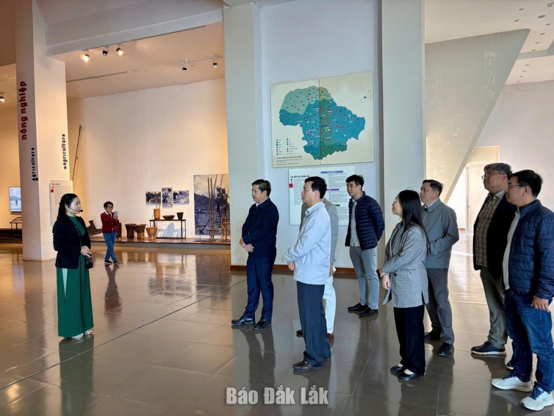 tang_2_20251228210501